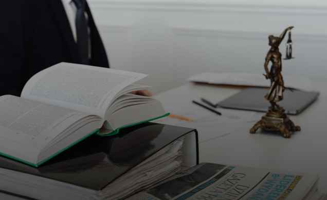 Senior Lawyer